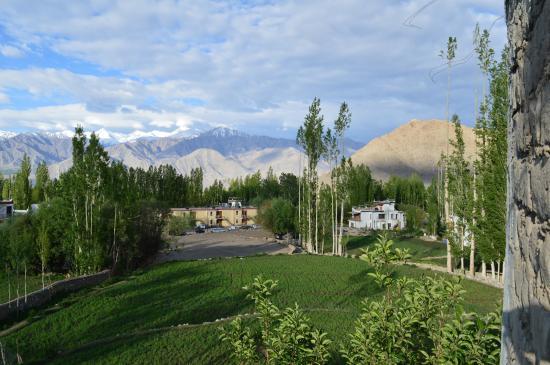 Hotel Jorchung Leh Exterior photo